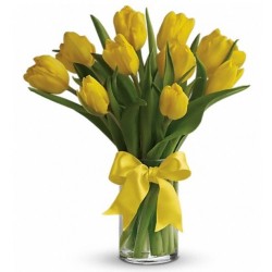 Sunny Yellow Tulips 