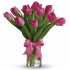 Precious Pink Tulips 