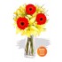 Asiatic and Gerbera Bouquet